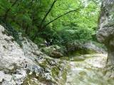 84. Odmor uz Mirnu .... bez vode...